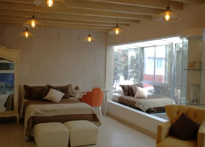 Homestay Ci Vintage En Coyoacan