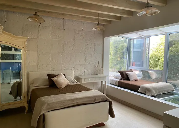 Ci Vintage En Coyoacan Homestay *